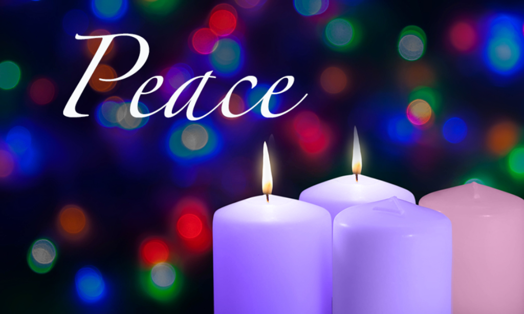 Screenshot 2025-11-15 9.07.39 PM